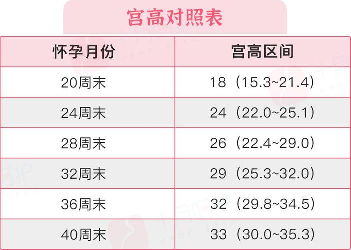 做供卵试管代怀需多少费用(试管代怀需多少费用?)